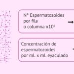 1. ¿Cuántos ml tiene una gota? 1-cuantos-ml-tiene-una-gota