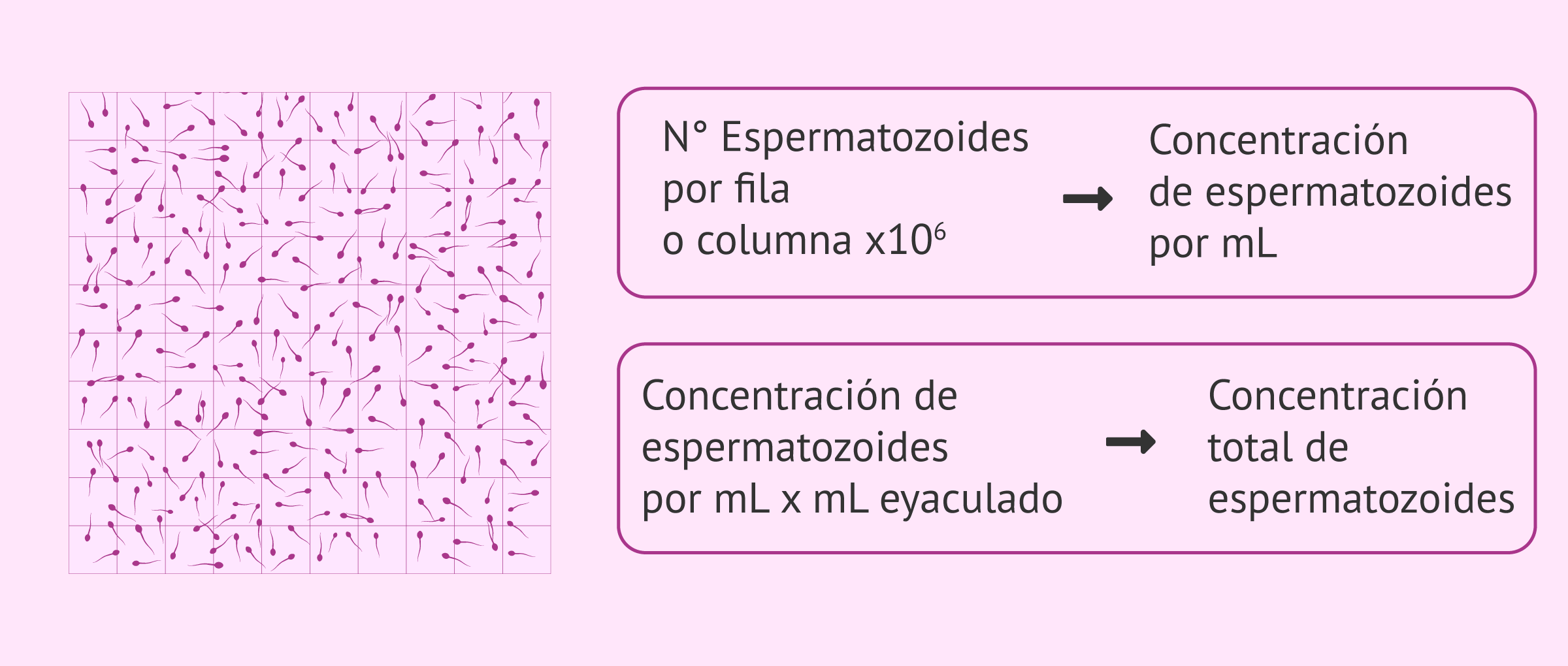 1 cuantos ml tiene una gota