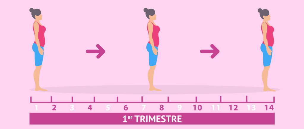 1er trimestre cuanto es