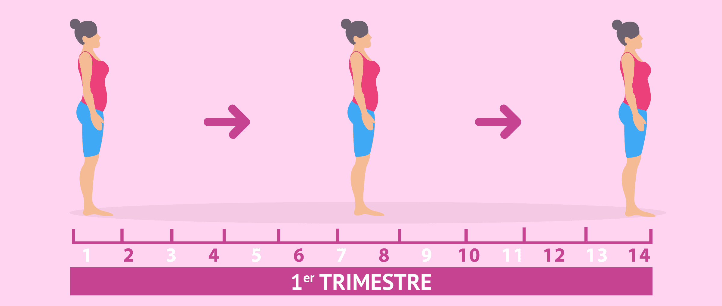 1er trimestre cuanto es