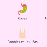 21-semanas-cuantos-meses-son