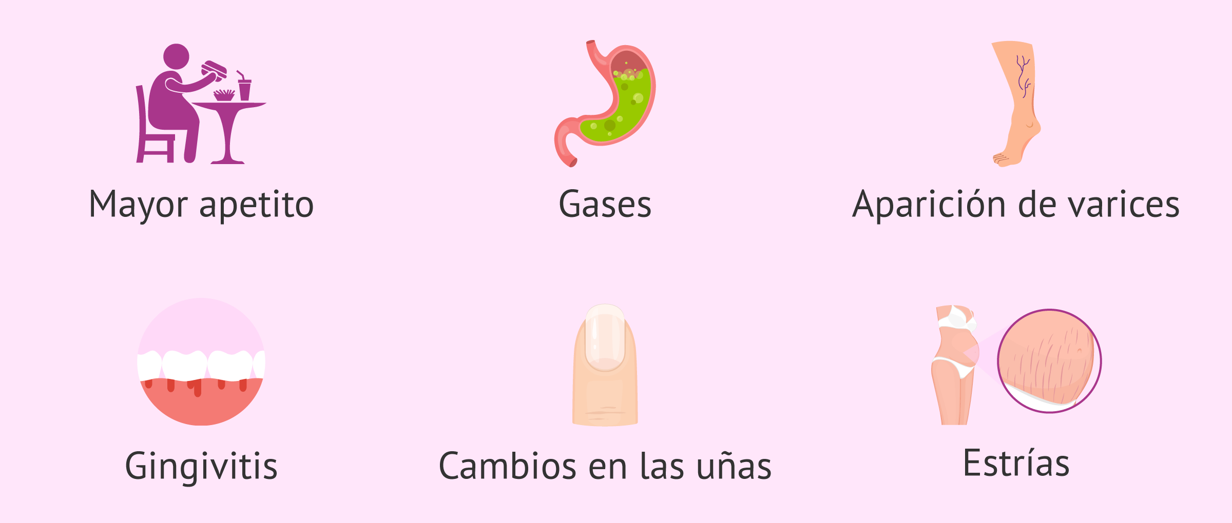 Blog 8 21 semanas cuantos meses son