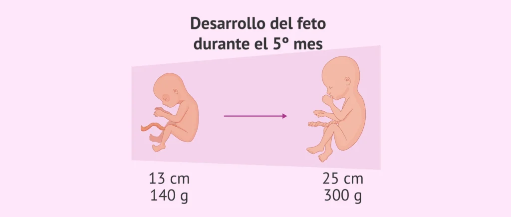 300 meses, ¿cuántos años son? 2 300 meses cuantos anos son