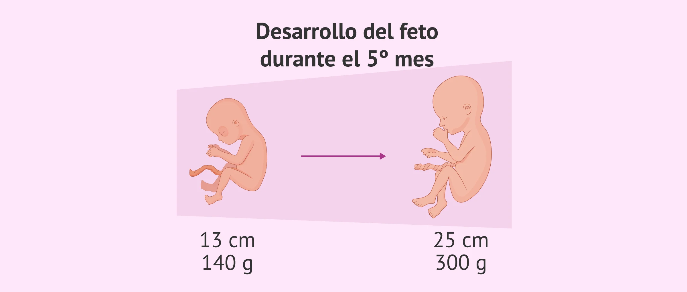 Blog 6 300 meses cuantos anos son