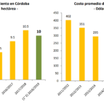 a-cuanto-equivale-un-quintal
