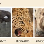 ¿A cuántos grados está África? a-cuantos-grados-esta-africa