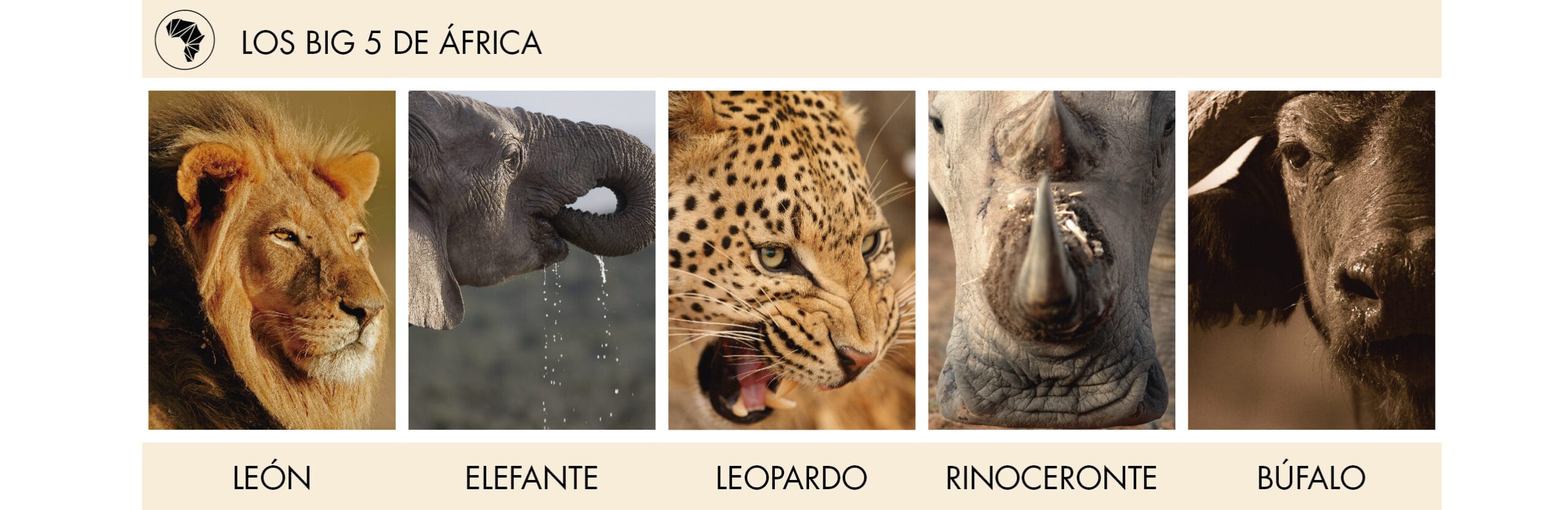 a cuantos grados esta africa scaled