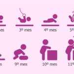 a-los-cuantos-meses-gatean