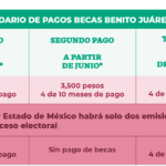 beca-nini-cuanto-depositan