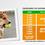 cada-cuanto-hay-que-desparasitarse