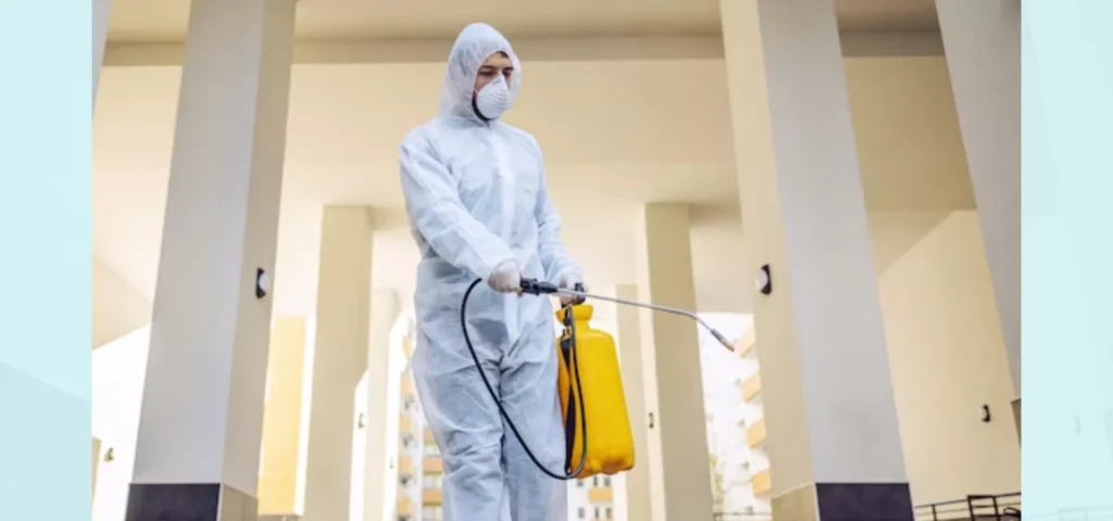 Cada cuánto se debe fumigar? 2 cada cuanto se debe fumigar