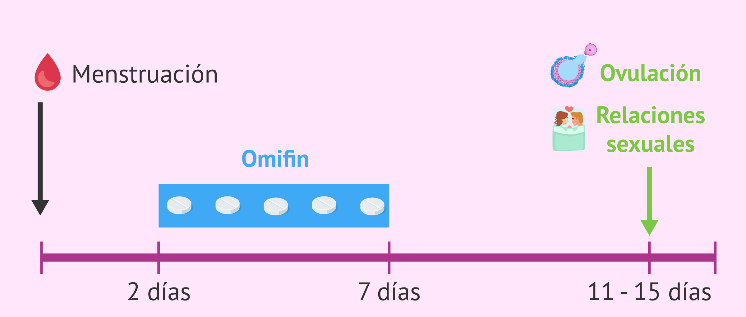 cada cuanto se toma
