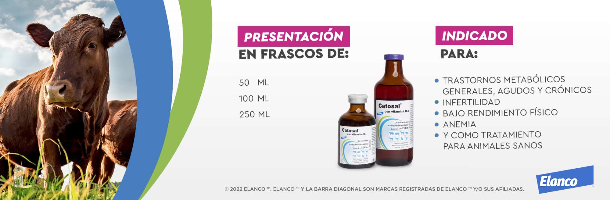 Blog 4 catosal cada cuanto se aplica