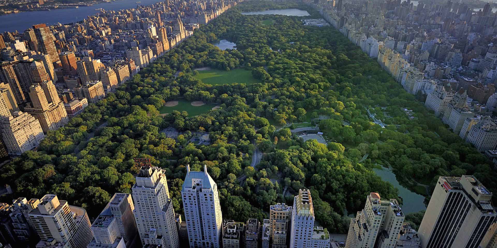 central park cuantas hectareas
