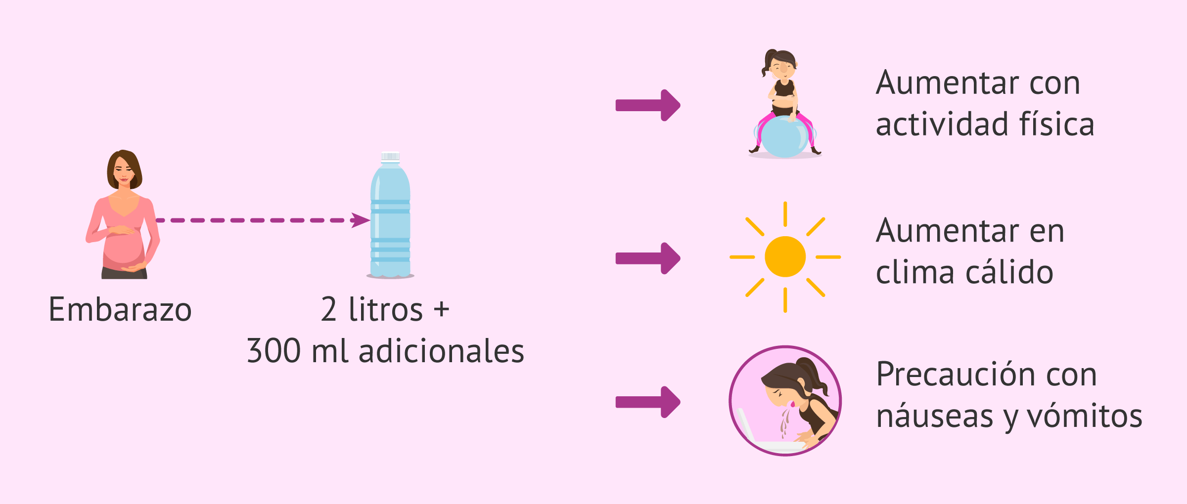 Blog 12 como calcular cuanta agua tomar