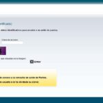 como-saber-cuantos-puntos-tengo