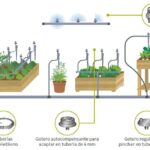 cuanta-agua-necesita-un-huerto