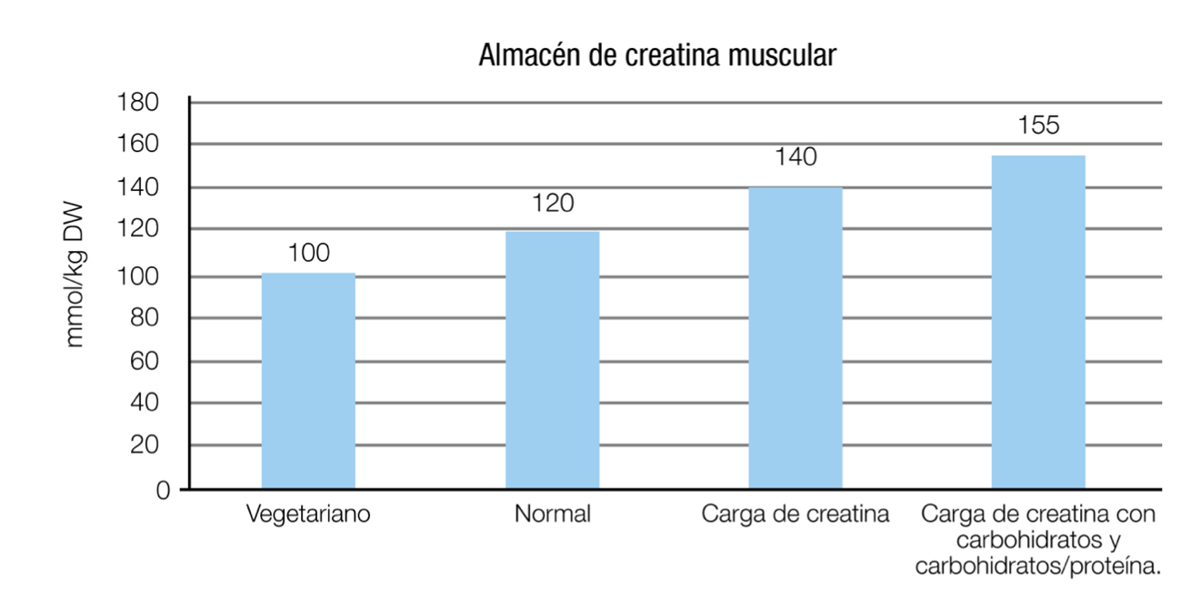 cuanta creatina tiene la carne