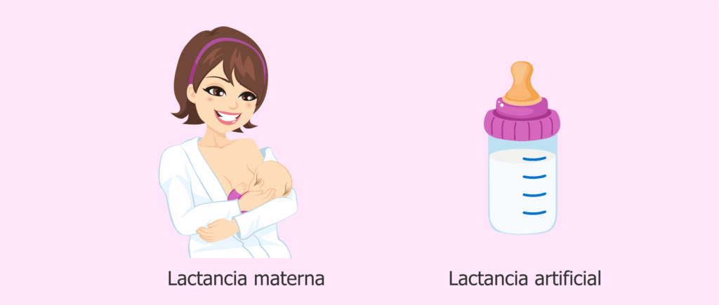 cuanta leche produce una mama