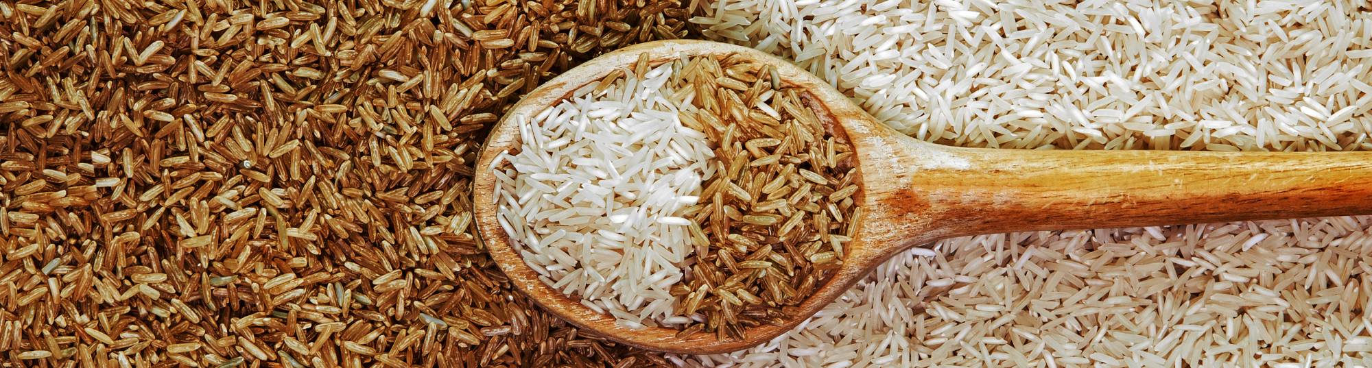 Blog 8 cuanta proteina tiene el arroz