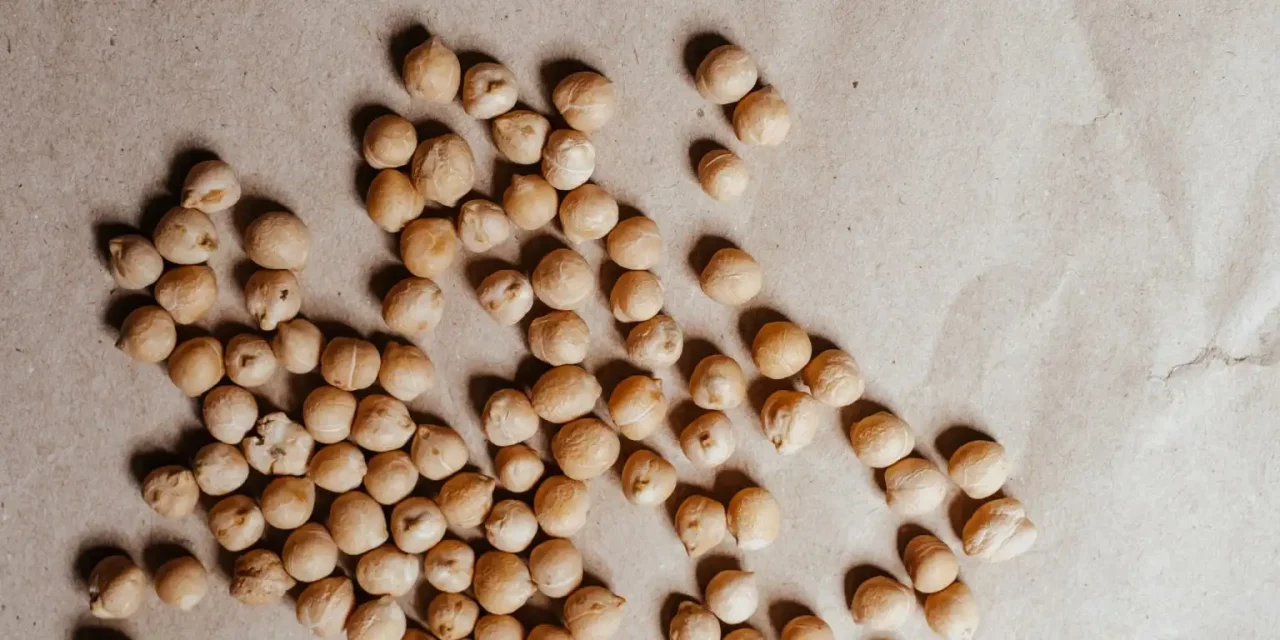 cuanta proteina tienen los garbanzos