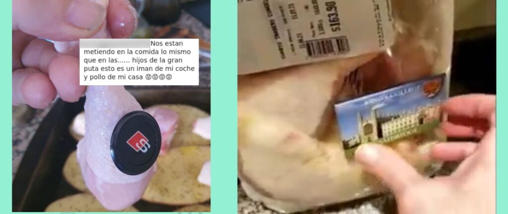 cuanta sangre tiene un pollo