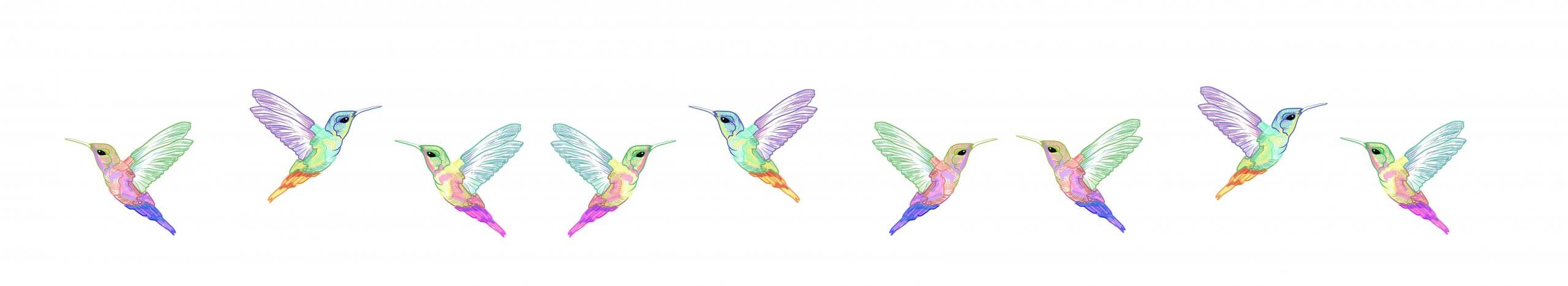 cuanta vida tiene un colibri