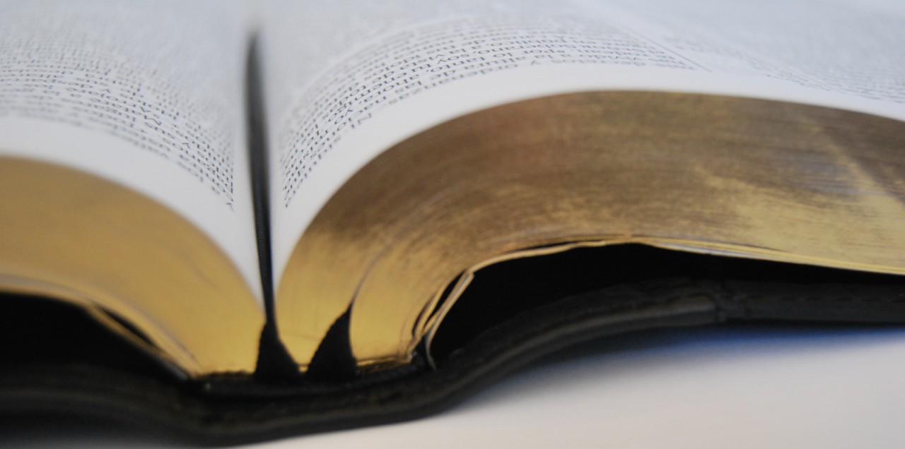 Blog 2 cuantas biblias