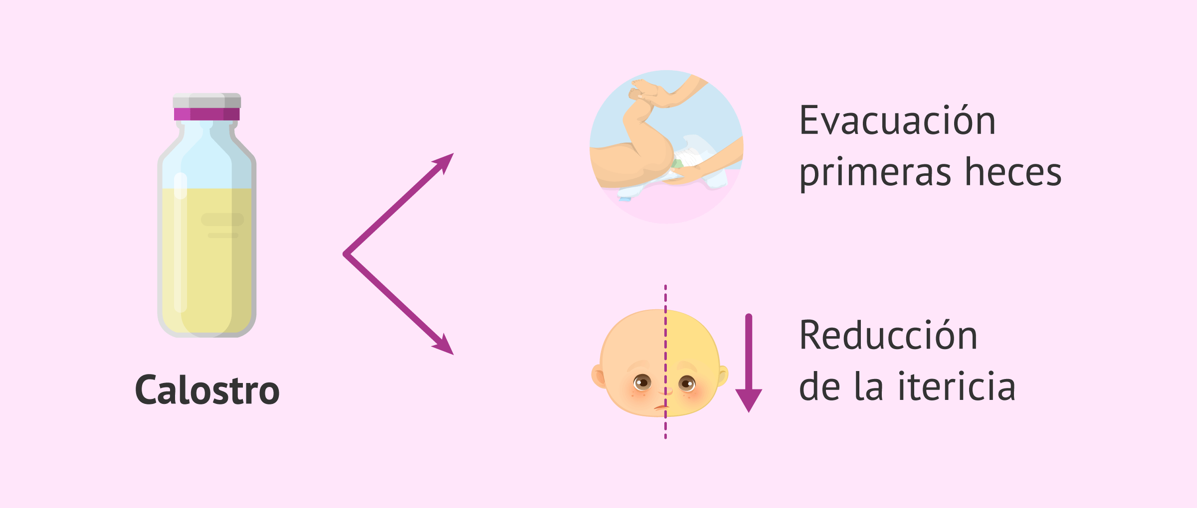 Blog 4 cuantas calorias tiene la leche