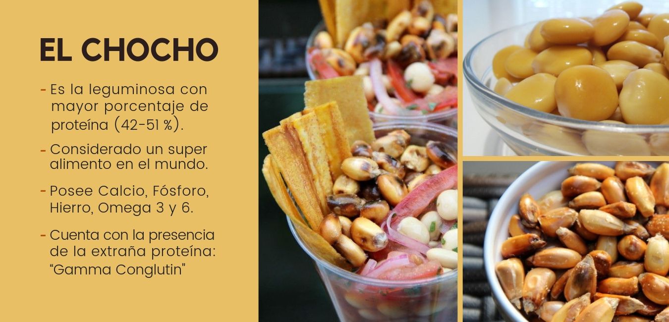 cuantas calorias tiene la soya
