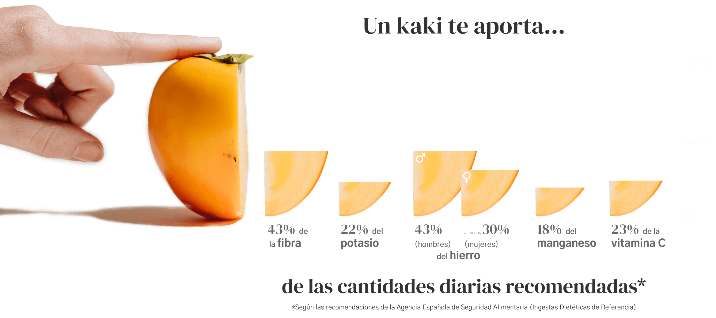 Blog 10 cuantas calorias tiene un pepino