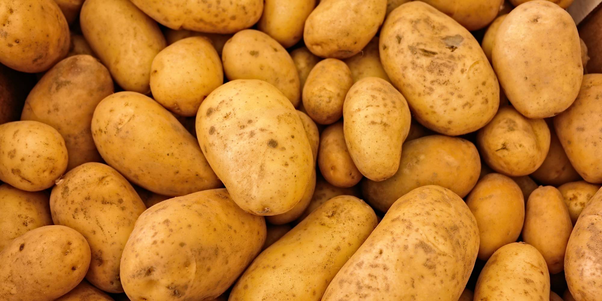 cuantas calorias tiene una papa