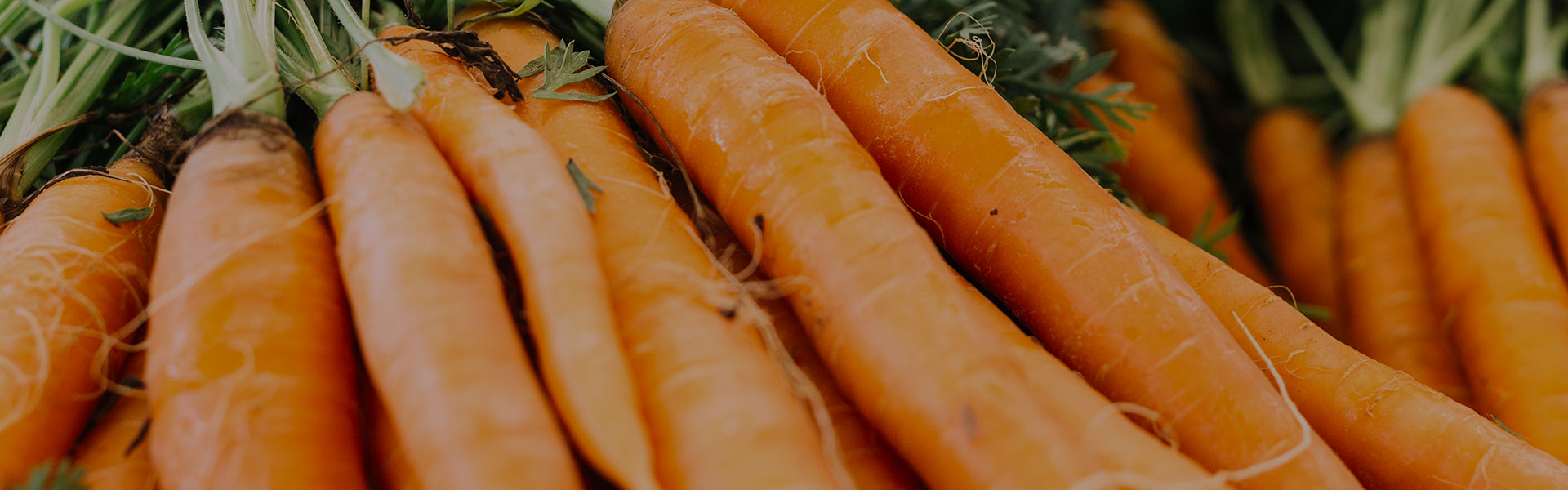 cuantas calorias tiene una zanahoria