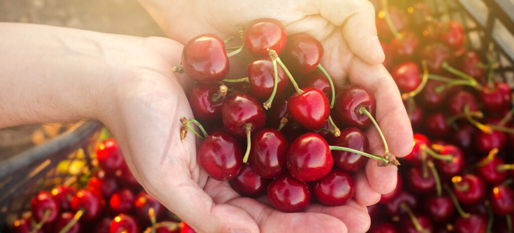 ¿Cuántas calorías tienen las cerezas? 2 cuantas calorias tienen las cerezas