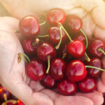 cuantas-calorias-tienen-las-cerezas
