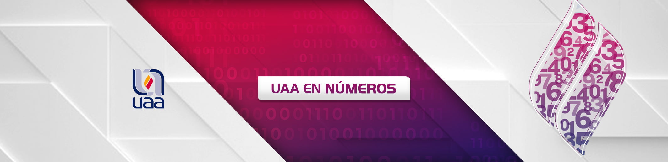 cuantas carreras tiene la uaa