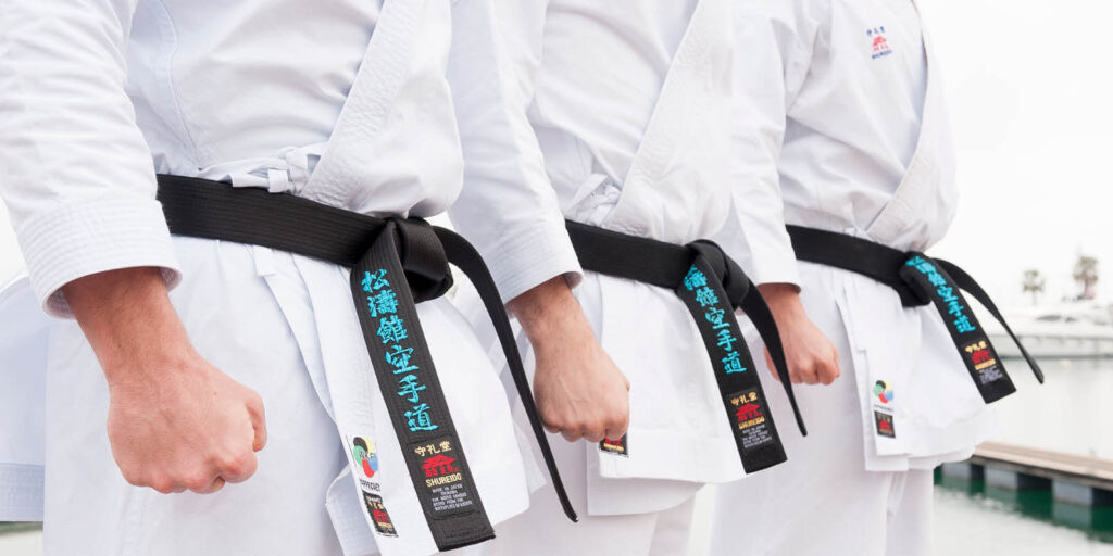 cuantas cintas hay en karate