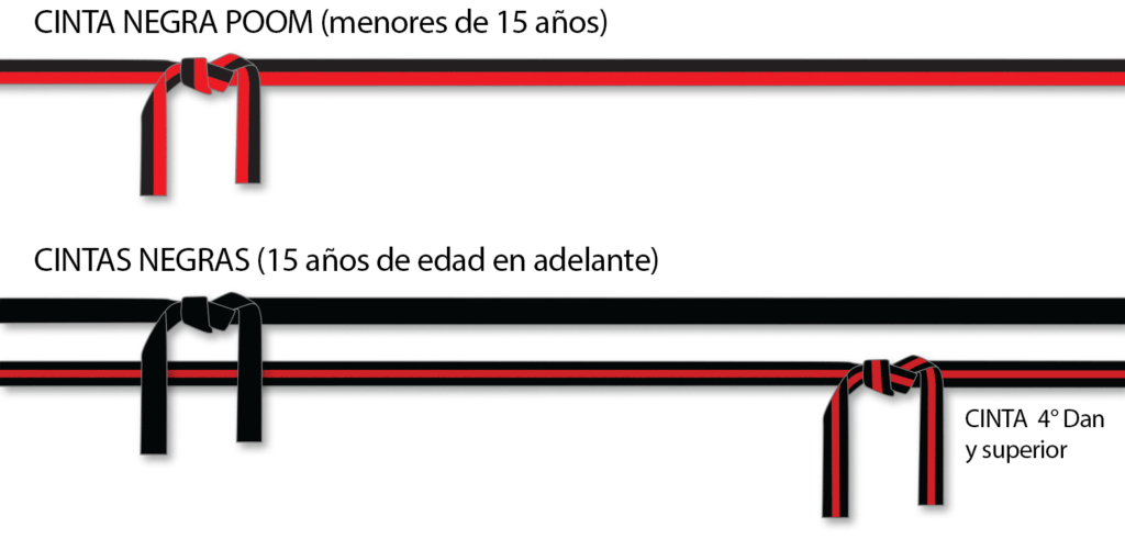cuantas cintas hay en taekwondo