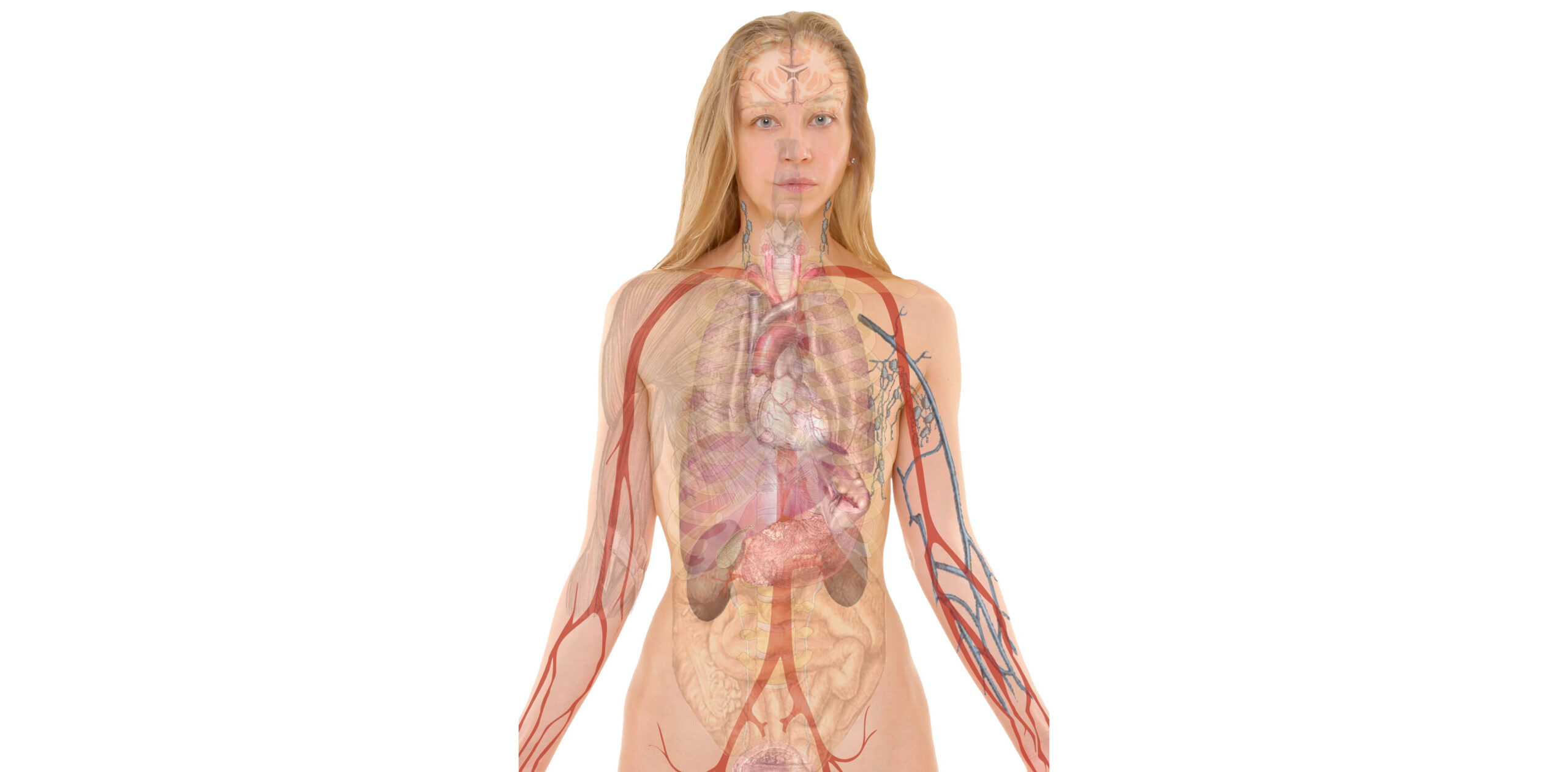 cuantas costillas tiene la mujer scaled