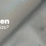 ¿Cuántas cucarachas tiene un huevo? cuantas-cucarachas-tiene-un-huevo