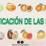 ¿Cuántas frutas existen? cuantas-frutas-existen