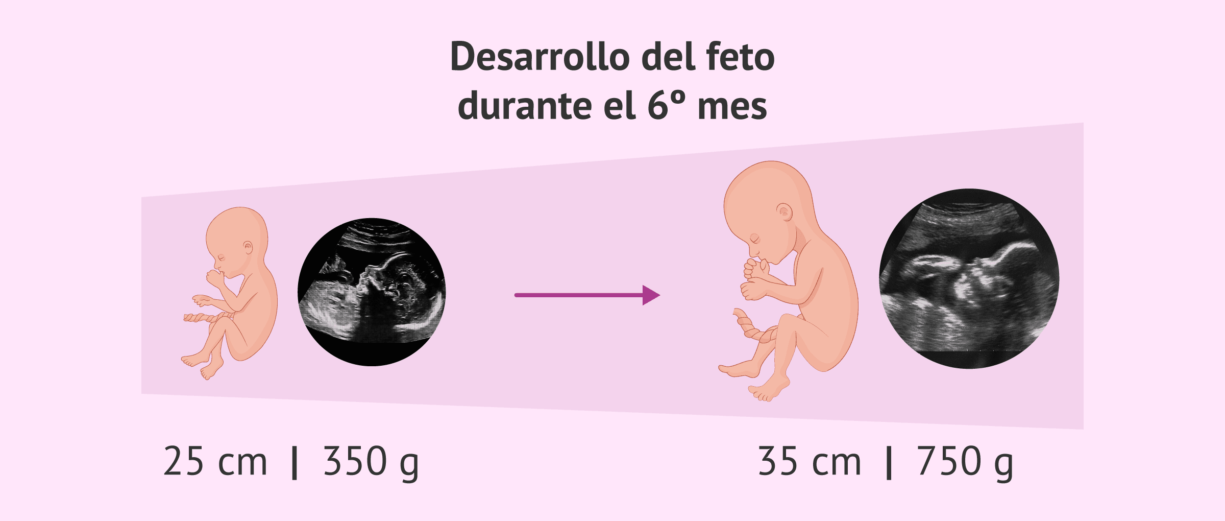 cuantas horas tiene 6 meses