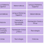 cuantas-materias-son