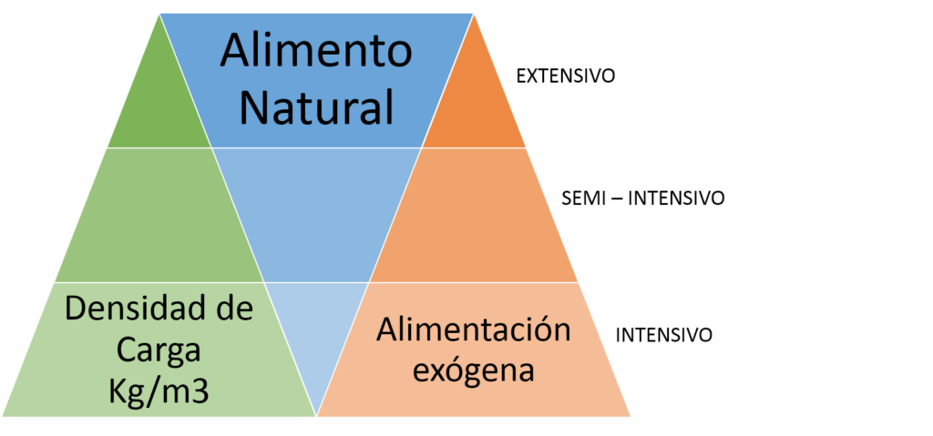 ¿Cuántas mojarras trae un kilo? 2 cuantas mojarras trae un kilo