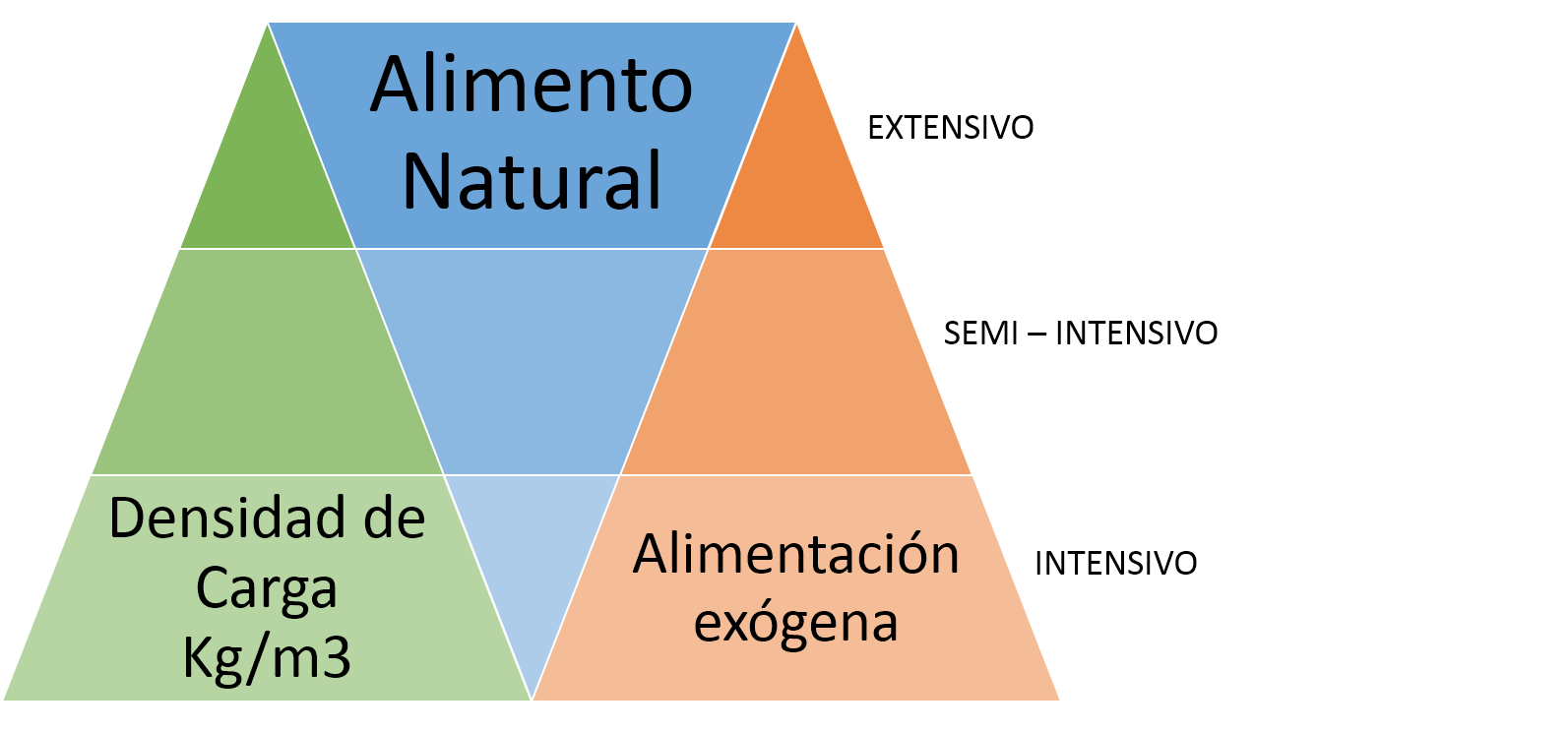 Blog 12 cuantas mojarras trae un kilo