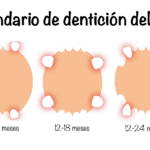 cuantas-muelas-tiene-un-nino