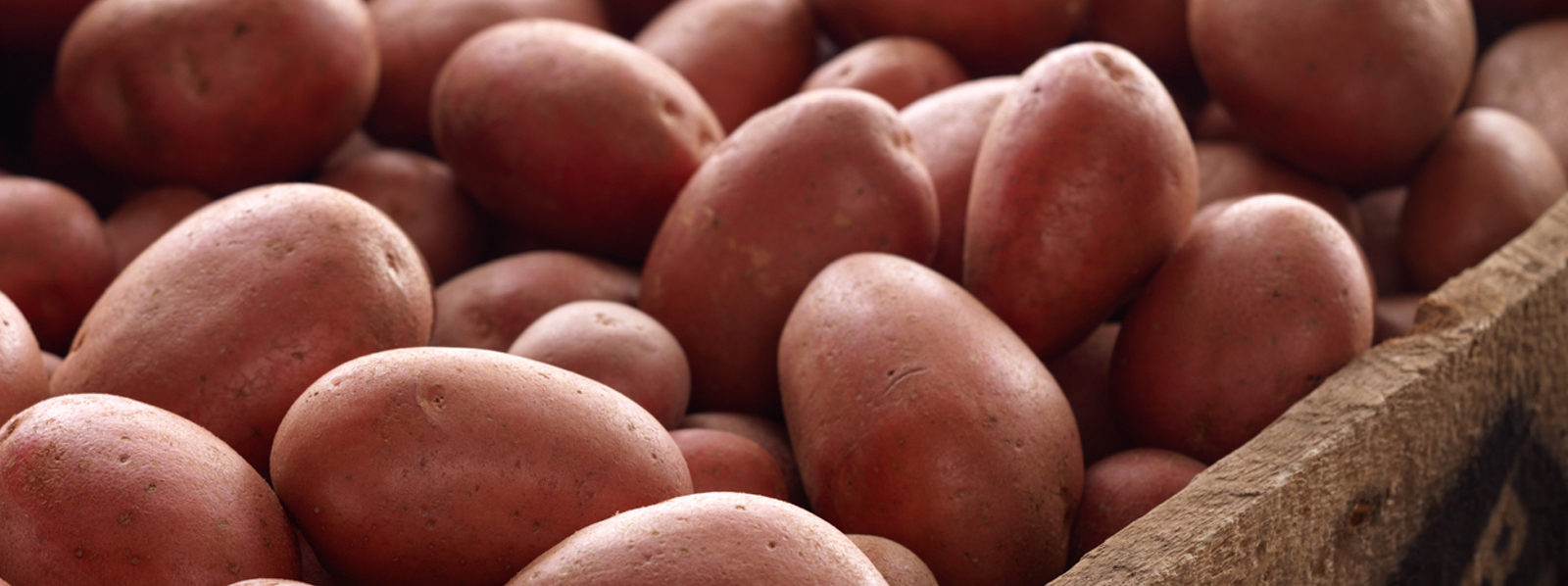 cuantas papas son un kilo