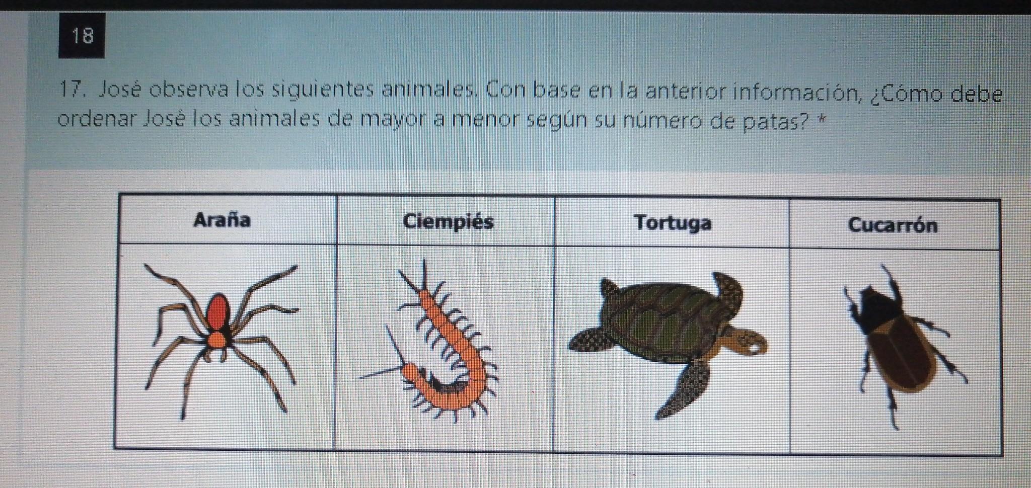cuantas patas tiene un ciempies