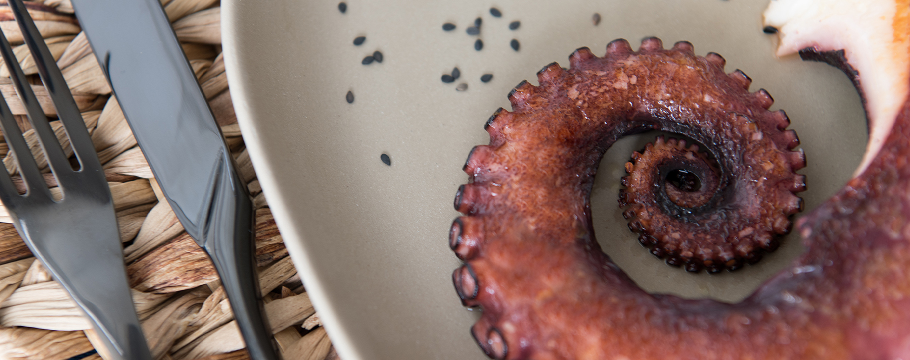 cuantas patas tiene un pulpo