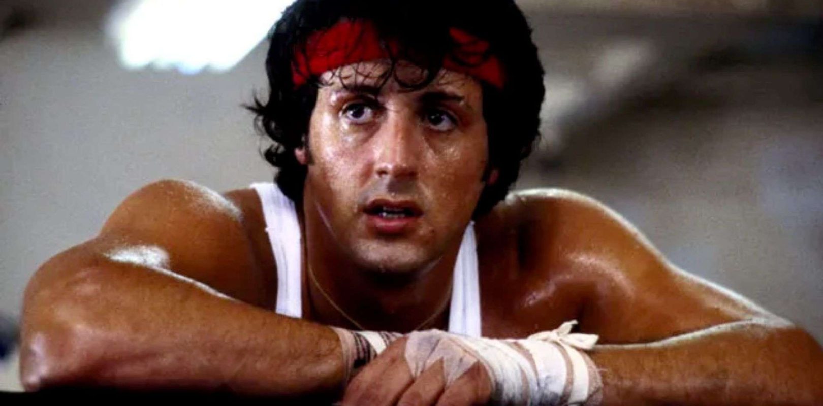 Blog 6 cuantas peliculas de rocky hay